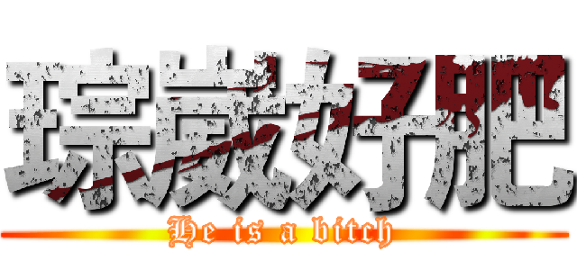 琮崴好肥 (He is a bitch)