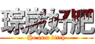 琮崴好肥 (He is a bitch)