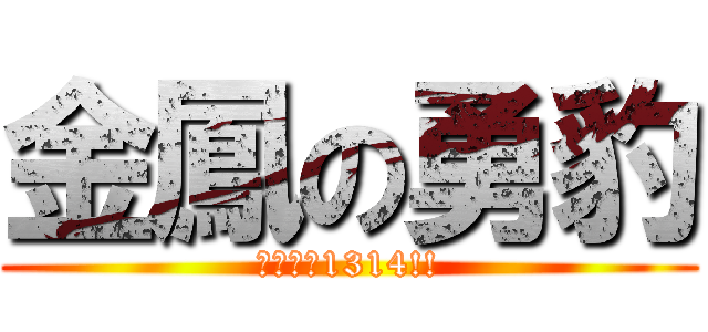 金鳳の勇豹 (我愛勇豹1314!!)