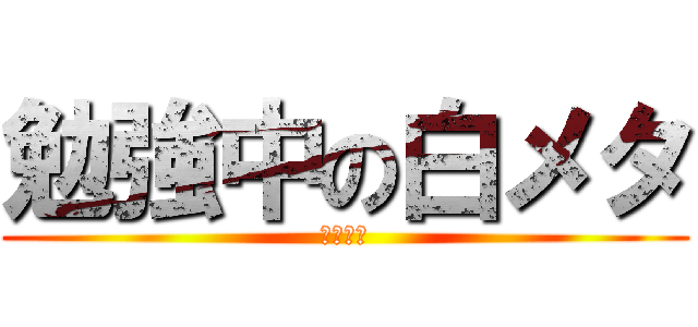 勉強中の白メタ (私はです)