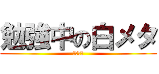 勉強中の白メタ (私はです)