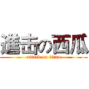 進击の西瓜 (attack on titan)