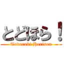 とどほら！ (Todoroki Horison)