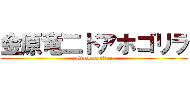 金原竜二ドアホゴリラ (attack on titan)