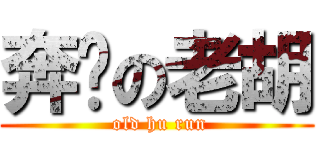 奔跑の老胡 ( old hu run)