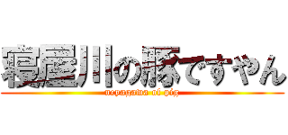 寝屋川の豚ですやん (neyagawa of pig)