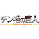チン毛の巨人 (attack on titan)
