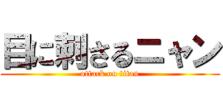 目に刺さるニャン (attack on titan)