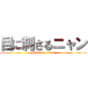 目に刺さるニャン (attack on titan)