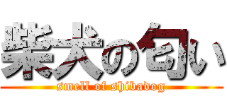 柴犬の匂い (smell of shibadog)