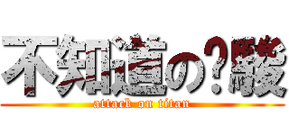 不知道の瑋駿 (attack on titan)