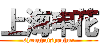 上海申花 (shanghaishenhua)