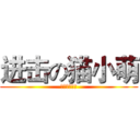 进击の猫小萌 (怪叔叔不会飞)