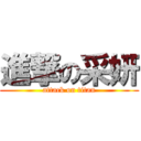 進撃の采妍 (attack on titan)