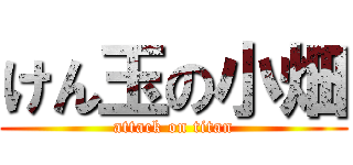 けん玉の小畑 (attack on titan)