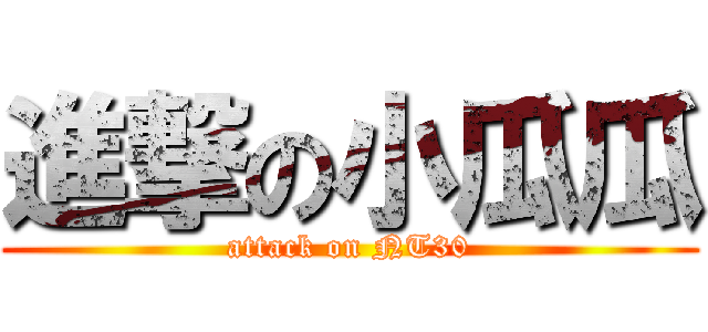 進撃の小瓜瓜 (attack on NT30)