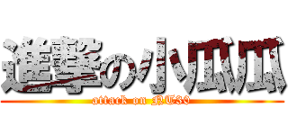 進撃の小瓜瓜 (attack on NT30)