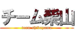 チーム柴山 (team shibayama)