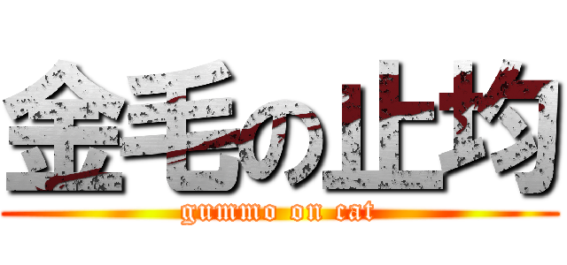 金毛の止均 (gummo on cat)