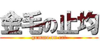 金毛の止均 (gummo on cat)