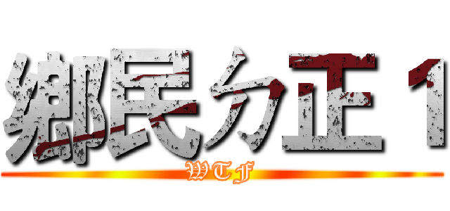 鄉民ㄉ正１ (WTF)