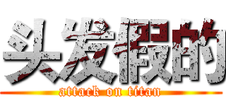 头发假的 (attack on titan)
