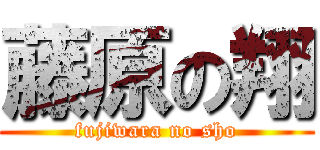 藤原の翔 (fujiwara no sho)