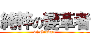 純粹の變革者 (00 Gundam)