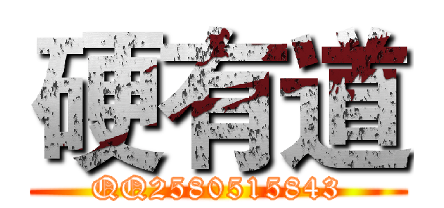 硬有道 (QQ2580515843)