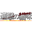進擊の貓咪 (attack on meow)