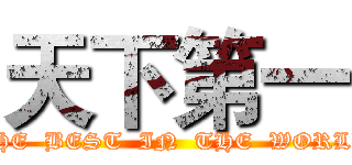 天下第一 (THE  BEST  IN  THE  WORLD)