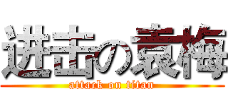 进击の袁梅 (attack on titan)