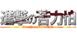 進撃の苦力怕 (Are You BITCH?)