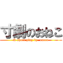 寸劇のおねこ (A short play by  oneco)