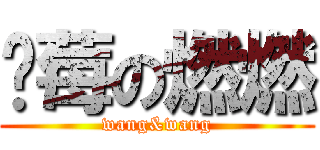 蓝莓の燃燃 (wang&wang)