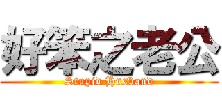 好笨之老公 (Stupid Husband)
