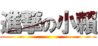 進撃の小賴 ()