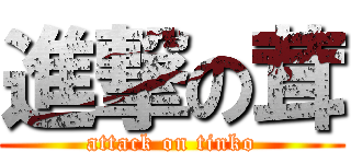 進撃の茸 (attack on tinko)