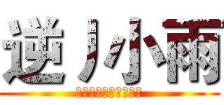 逆丿小雨 (关注我，你可能会火！)