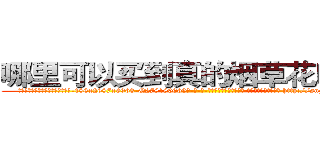 哪里可以买到真的烟草花叶病毒 (哪里可以买到真的烟草花叶病毒【电-186x2687x6963-Q278180069元-吉-药-业】我们做的是长期生意,靠的是老客户长期支持 http://sngk.net/fUN3Sm
)