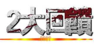２大回饋 (測試條串)
