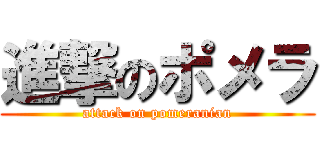 進撃のポメラ (attack on pomeranian)
