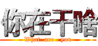 你在干啥 (What  are   you)