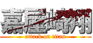 嘉屋崎翔 (attack on titan)