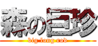 森の巨珍 (big long rod)
