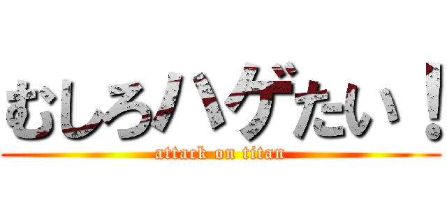 むしろハゲたい！ (attack on titan)