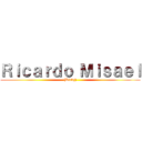 Ｒｉｃａｒｄｏ Ｍｉｓａｅｌ ((Ricky))