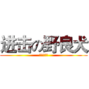 进击の野良犬 (台北我來也)