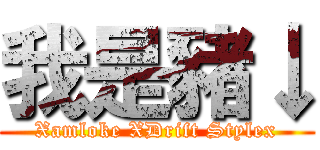 我是豬↓ (Xamloke XDrift Stylex)