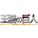 王鵬の巨人 (attack on titan)